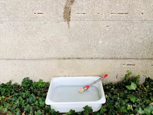 Un pinceau posé sur une caisse remplie d'eau à l'ombre – Activité d'été à Brétigny-sur-Orge