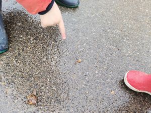 Assistante maternelle à Brétigny-sur-Orge – Decouverte des escargots, découverte de la nature avec les enfants