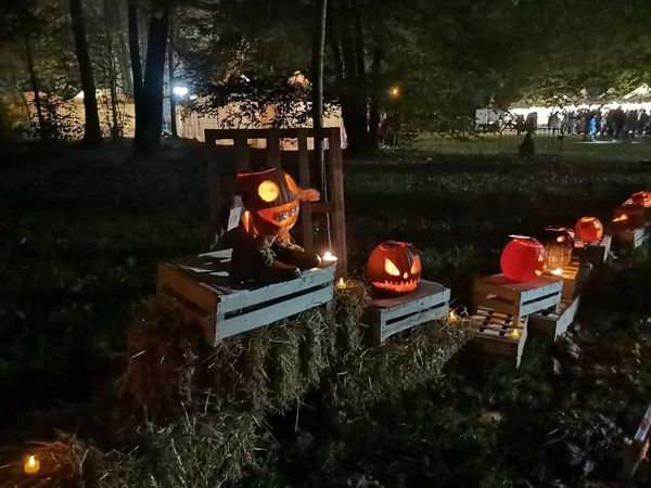 Nuit d'Halloween à Brétigny-sur-Orge avec citrouilles et décorations Día de los Muertos au parc du Carouge