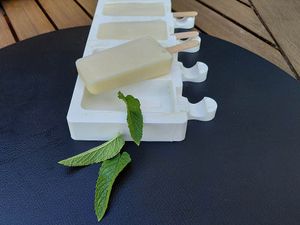 Glace à la menthe naturelle fait maison (recette pour jeunes enfants) à Brétigny-sur-Orge
