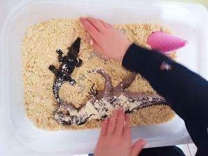 Sable magique fabriqué maison – Manipulation à Brétigny-sur-Orge